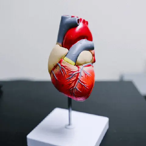 Lowering Blood Pressure